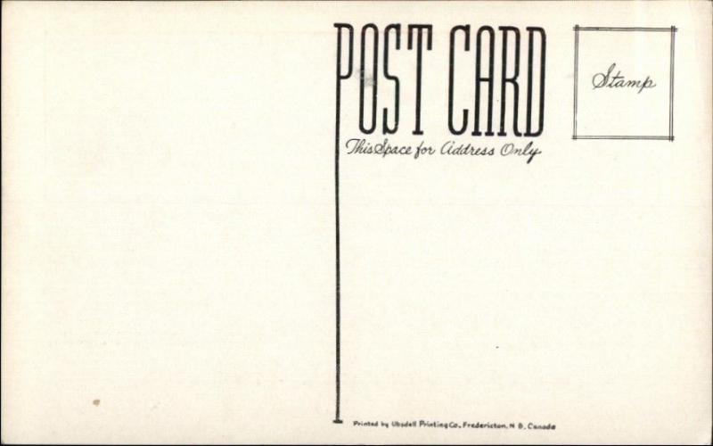 Dumfries New Brunswick Moonlight Inn & Cabins Postcard