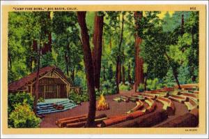 CA - Camp Fire Bowl, Big Basin