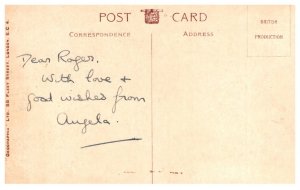 Dog ,   Irish Terrier , Who said rats?