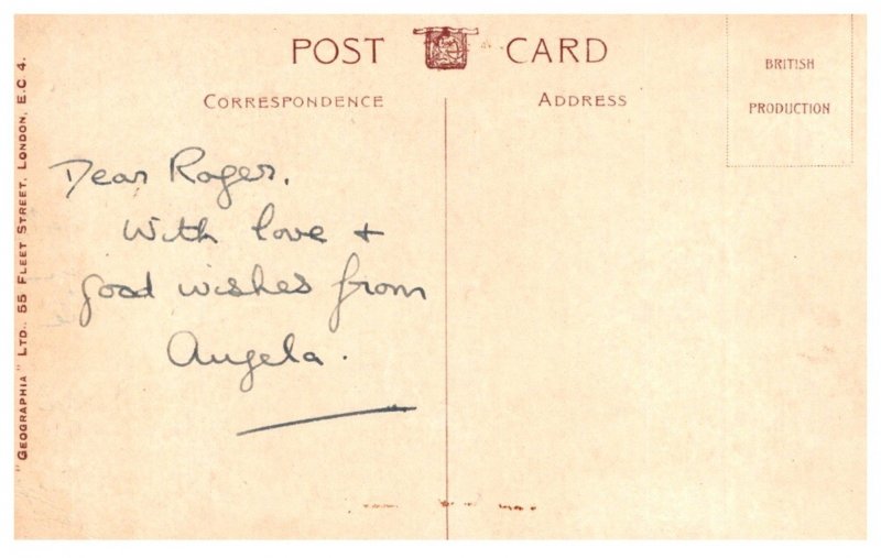 Dog ,   Irish Terrier , Who said rats?