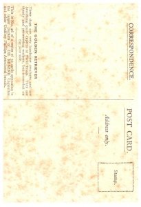 Dog ,   Golden Retriver , artist signed