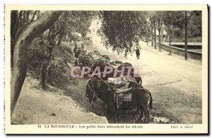 Old Postcard La Bourboule Little donkeys Await Customers