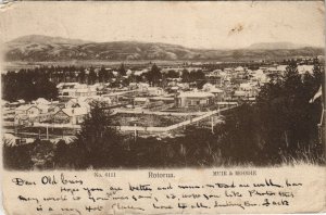 PC NEW ZEALAND, ROTORUA, MUIR & MOODIE, Vintage Postcard (B41559)