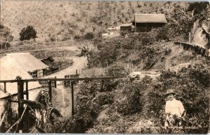 Coffee Plantation St Andrews Jamaica Postcard