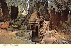 Eternal Tree House - Redcrest, California