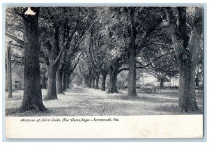 1909 Avenue of Live Oaks The Hermitage Savannah Georgia GA Posted Postcard