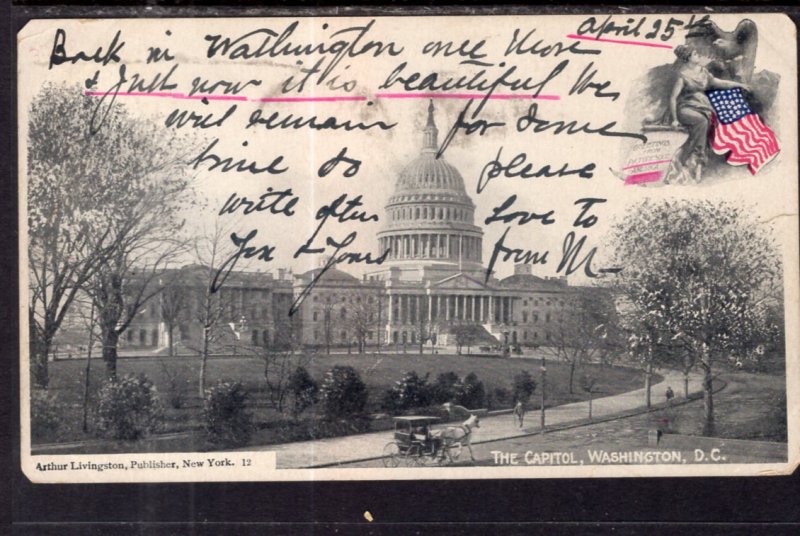 The Capitol,Washington,DC BIN