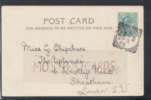 Genealogy Postcard - Chipchase - 16 Knollys Road, Streatham, London RF7228