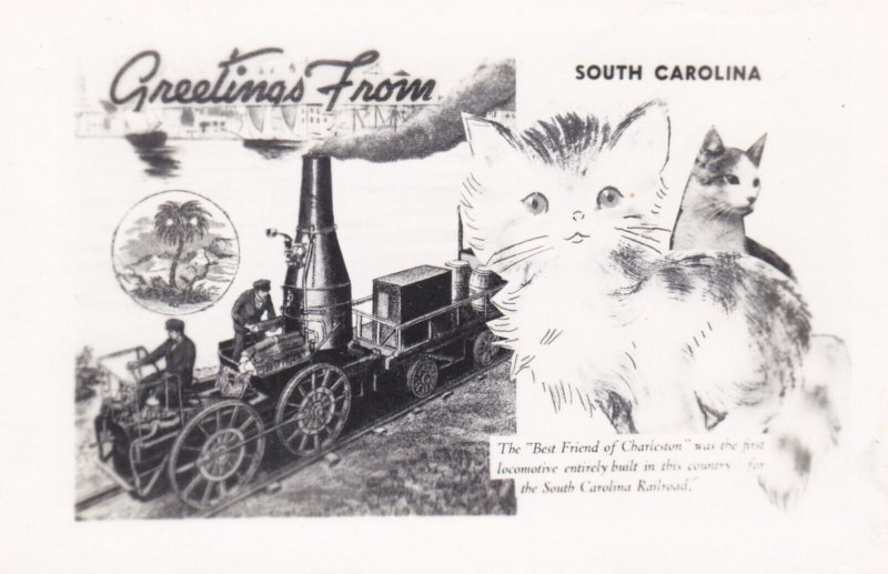 South Carolina Greetings Showing 1st Locomotive In South Carolina Real Photo