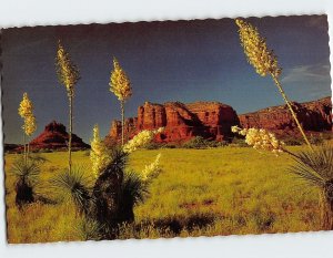 M-112665 Yuccas Red Rock Formations Oak Creek Canyon Arizona