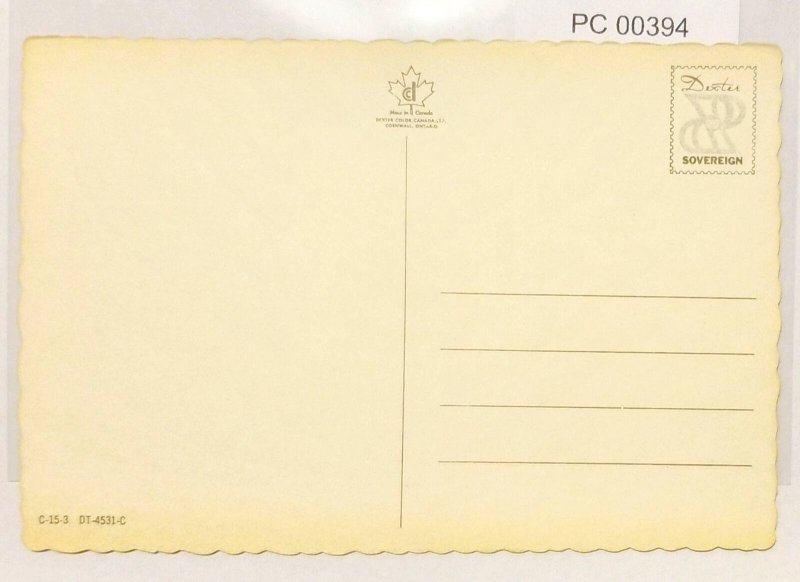 Indian Symbols & Their Meanings Postcard