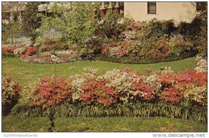 Mississippi McComb Beautiful Flower Garden