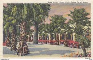 CORPUS CHRISTI , Texas , 30-40s ; Palm Grove North Beach