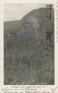 A vision in the Catskill Mountains, New York, 1908