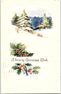 c1920 CHRISTMAS WISH BIRD SNOW SCENE MARQUETTE NE EMBOSSED POSTCARD 39-285