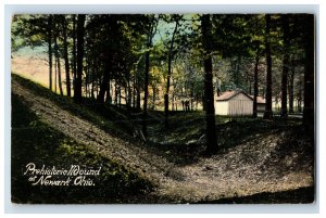 C1910's Prehistoric Mound At Newark, Oh. Postcard F86E