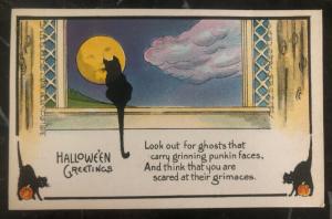 Mint Vintage USA Picture Postcard PPC Halloween Greetings Black Cat