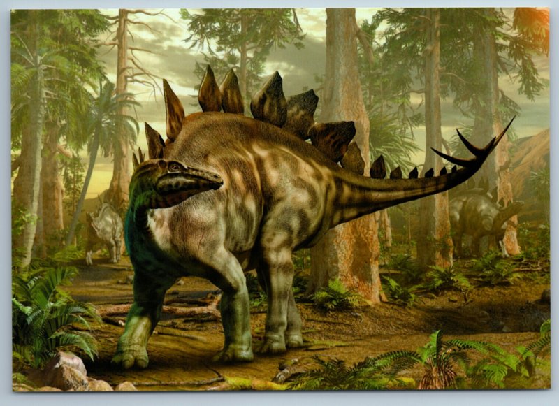 STEGOSAURUS DINOSAUR Prehistoric Animal DINO ERA Russian New Postcard