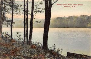 Hancock New Hampshire Norway Pond Fowle Shore Antique Postcard K86180