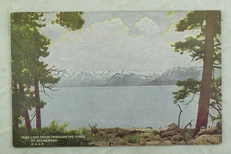 C.1910 Lake Tahoe Through The Pines, Glenbrook, Calif. Vintage Postcard P105