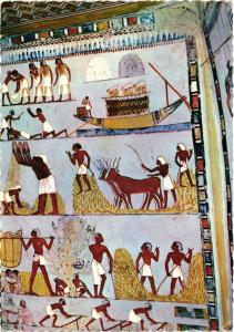 CPM EGYPTE Luxor-Tombs of Nobles: Mural painting in the Tomb of Menna (343577)