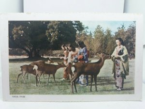 Vintage Postcard Japanese Ladies Hand Feeding Wild Deer in  Nara Japan