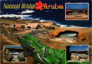 CPM Natural Bridge ARUBA (751141)