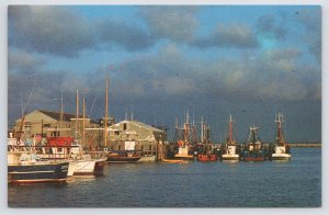 Boat Filled Provincetown Harbor~Bldg In Bkgd~Cape Cod Massachusetts~Vintage PC
