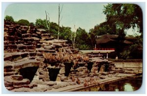 View Of Monkey Island Cleveland Zoological Park Brookside Park Ohio OH Postcard