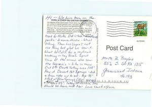 Vintage Postcard Jumping Cholla Choy-Ya Cactus Garden Desert CA  # 3239