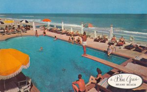 Miami Beach FL, Florida - Swimming and Diving at Blue Grass Hotel