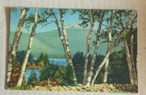 VINTAGE 1947 USED PENNY LINEN  POSTCARD  MT CHOCORUA & LAKE WHITE MOUNTAINS N.H.