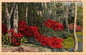 Alabama Mobile Scene In Bellingrath Gardens Curteich