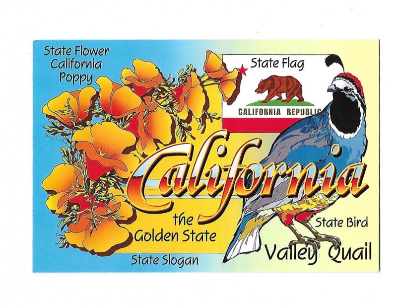 CALIFORNIA the Golden State Symbols Flag Flower Bird 4 by 6 card