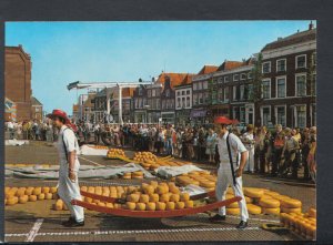 Food & Drink Postcard - Netherlands, Kaasmarkt - Cheese Market  RR6636