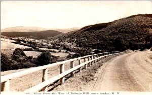 RPPC - Andes, New York - The View from the top of Palmer Hill - in 1935