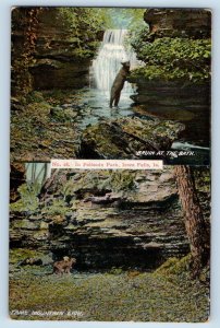 Iowa Falls Iowa Postcard Palisade Park  Bruin Mountain Lion 1910 Vintage Antique