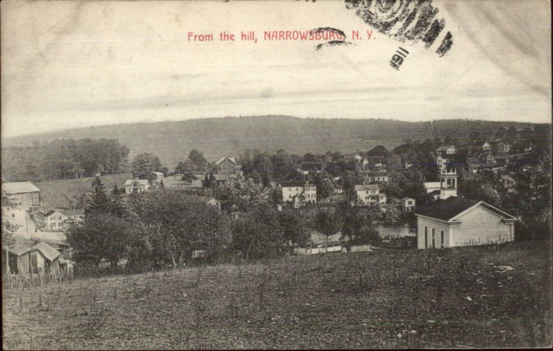 Narrowsburg NY From the Hill c1910 Postcard