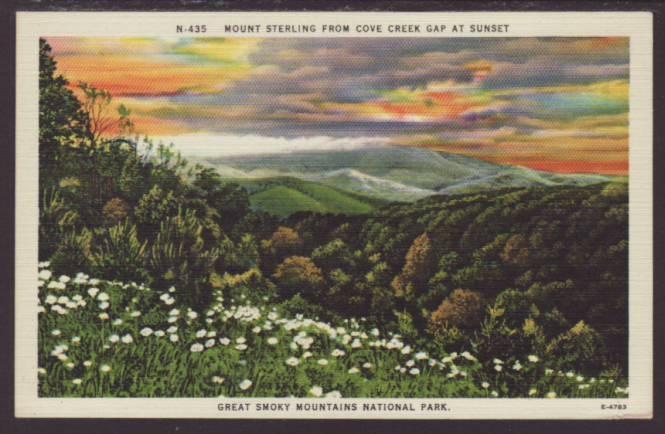 Mount Sterling From Cove Creek Gap,Smoky Mountains Postcard 