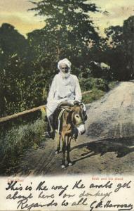 tanzania, ZANZIBAR, Arab and his Steed, Donkey (1910) Postcard