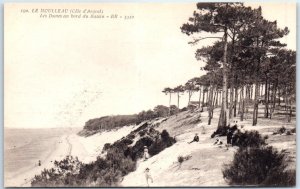 M-77178 Dunes at the edge of the Basin Le Moulleau Arachon France