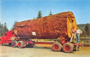 Arlington WA Giant Fir Log Delivery Truck Postcard