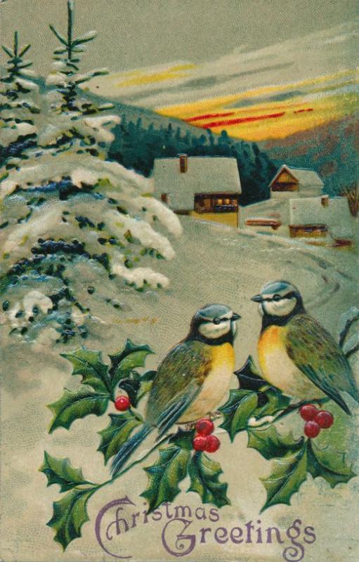 Christmas Greetings Birds Mistletoe and Rural Scene - pm 1909 - DB