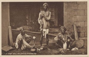 A Samp Wallah Indian Snake Charmer Antique Postcard