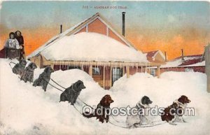 Alaskan Dog Team Writing on back 