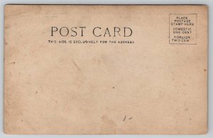 RPPC Handsome Gentleman Derby Hat And Suitcase Under Trellis Postcard Y28