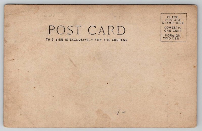 RPPC Handsome Gentleman Derby Hat And Suitcase Under Trellis Postcard Y28