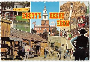 Amusement Park KNOTT'S BERRY FARM Log Flume Ride Buena Park 1960s 4x6 Postcard