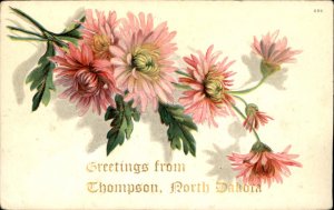 Thompson North Dakota Chrysanthemum Embossed Flowers c1900-20s Vintage Postcard