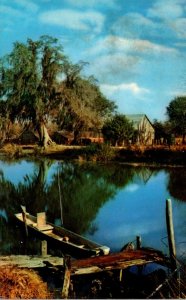 Louisiana Scene Along The Bayou